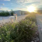 Z Sauna * Jeziorki (Poznan)