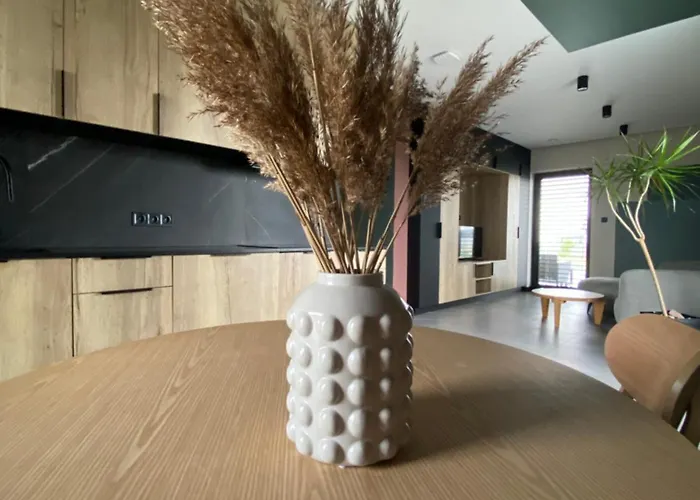 Z Sauna 乡村民宿