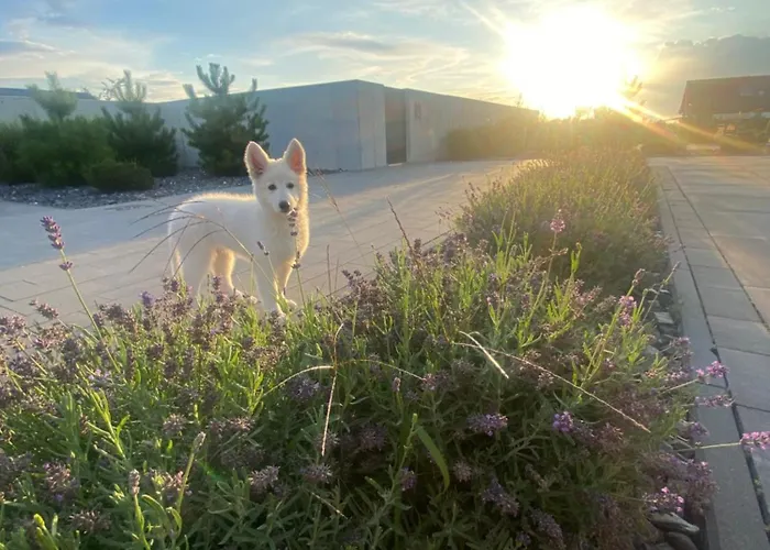 Pokoj Z Sauna * Jeziorki (Poznan)